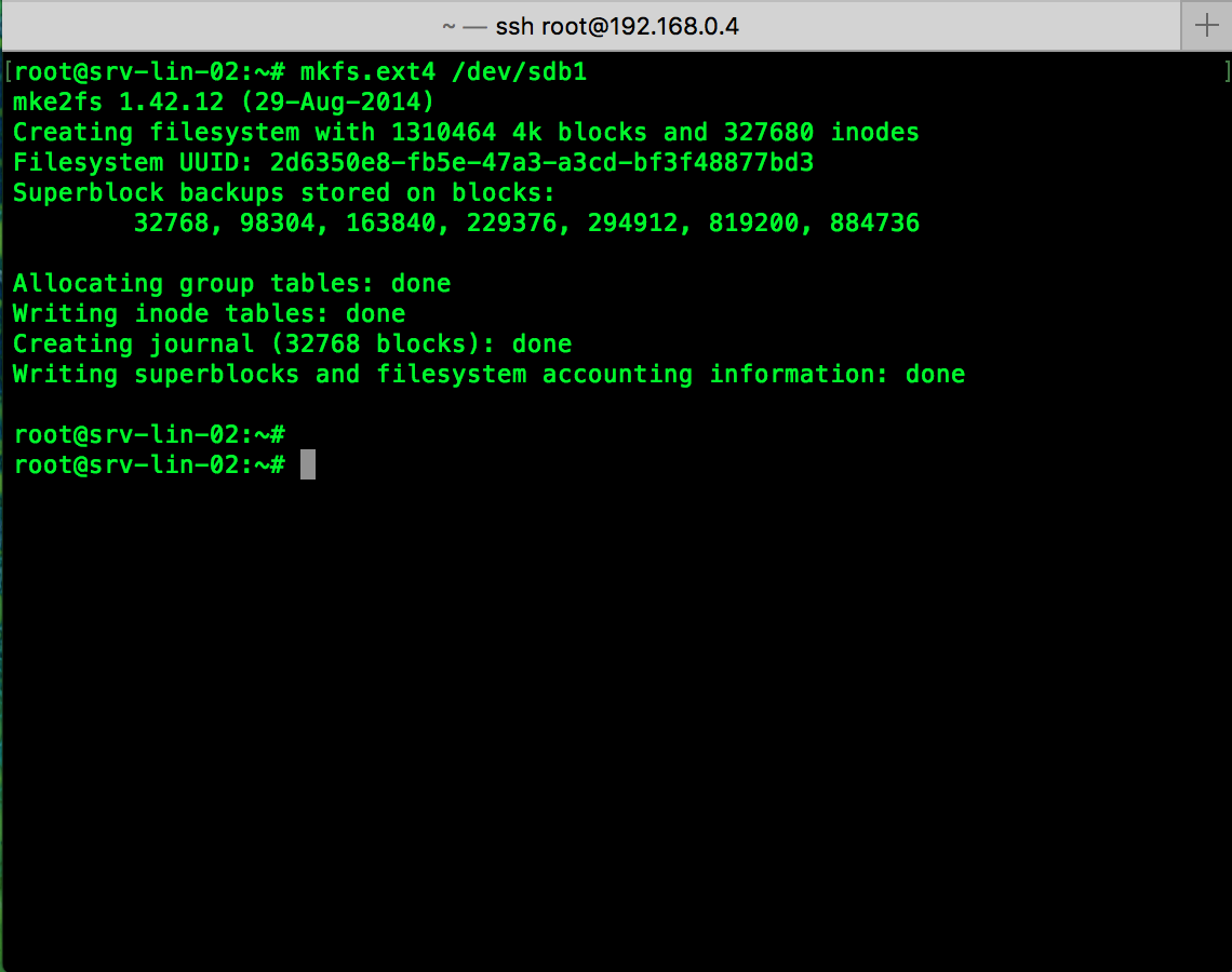 Format the new partition
