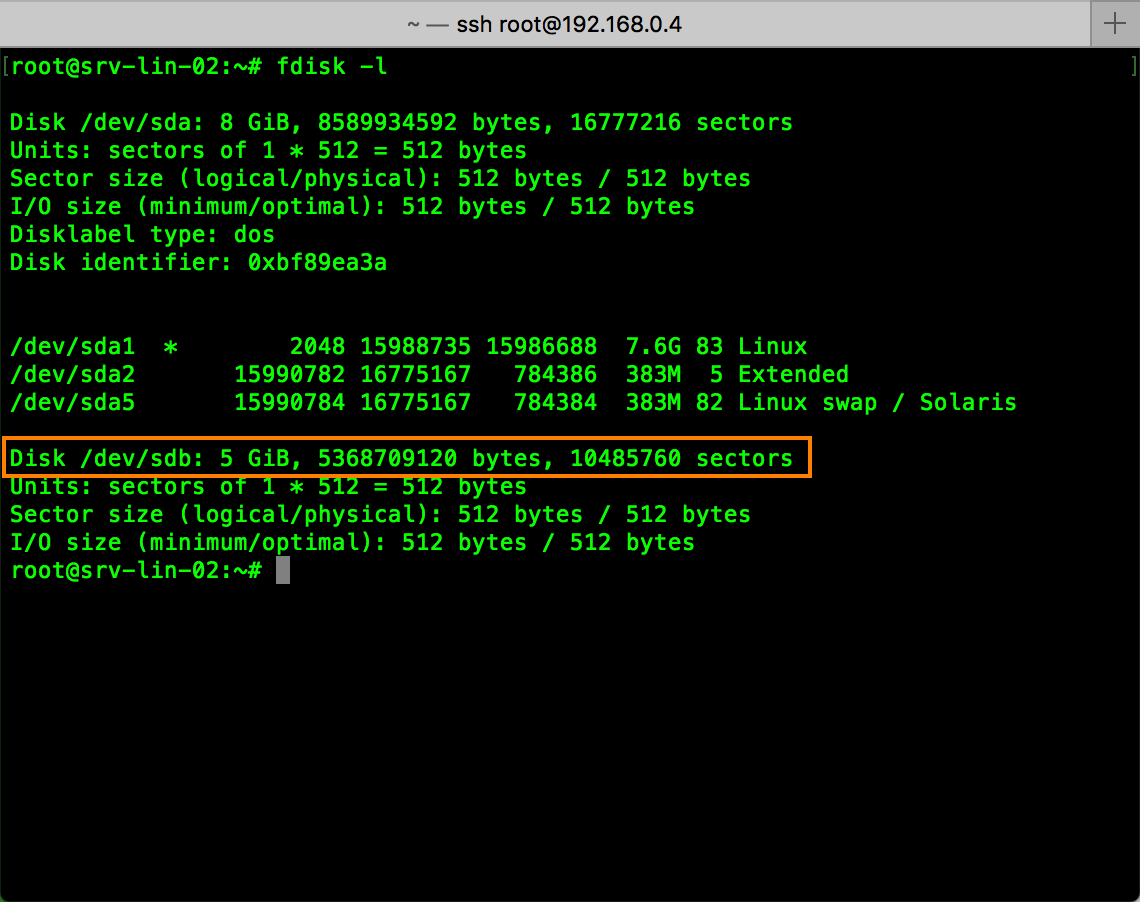 New disk detected by Linux